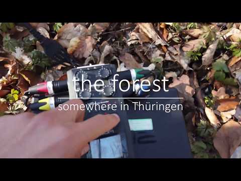 RØDE NT-SF1 - Forest Surround Soundscape Aufnahme