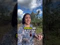 Tour Virtual