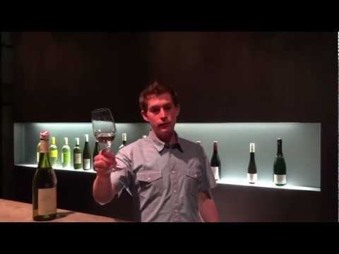 Grüner Veltliner Gigant DAC Reserve 2011 (english version)