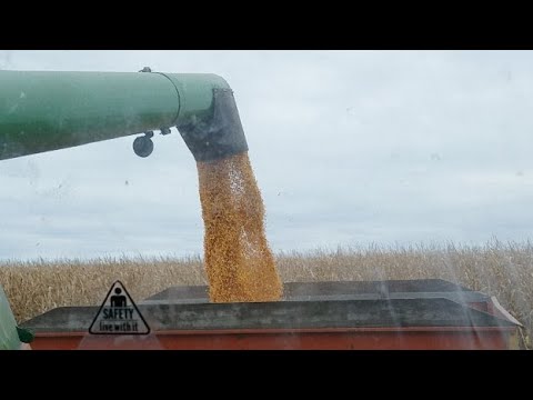 Harvest 2018 Live