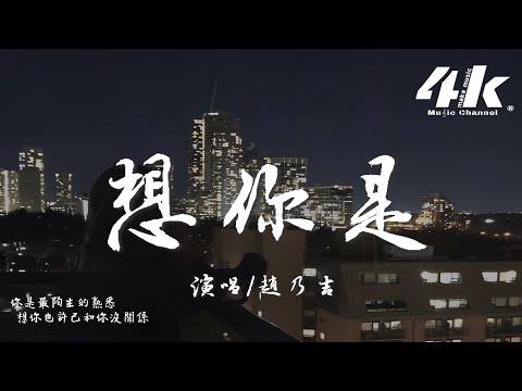 趙乃吉 - 想你是『想你是一呼一吸一朝一夕一件小事，想你是千言萬語卻只字未提。』【高音質|動態歌詞Lyrics】♫