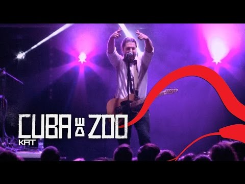 Cuba de Zoo - Kat