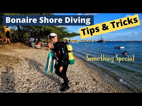 Bonaire Shore Diving Tips & Tricks - Something Special