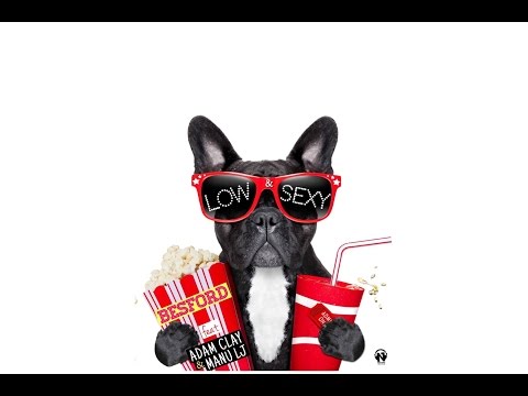 Besford Ft. Adam Clay & Manu LJ - Low & Sexy (Official Video Lyrics - Radio Edit)