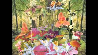 Monster Rally - Baja Samba