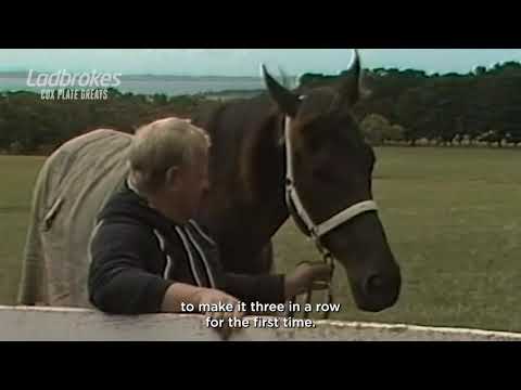 Cox Plate Greats - Kingston Town