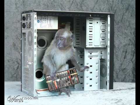 obnoXIuz- Apan Känner Alla