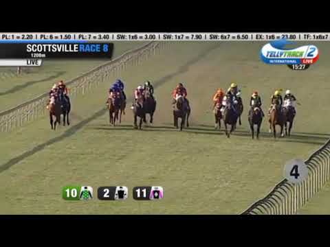 TALKTOTHESTARS 2016 TSOGO SUN SPRINT