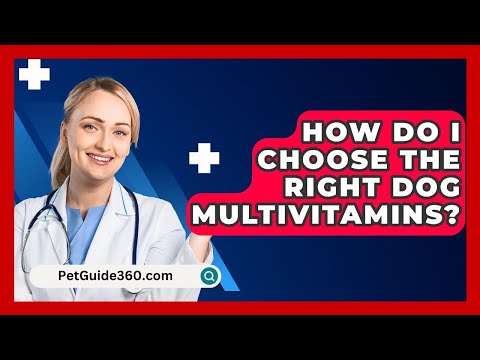 How Do I Choose The Right Dog Multivitamins? - PetGuide360.com