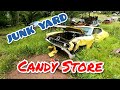 JUNKYARD LOADED WITH MUSCLE CARS, CLASSICS & MORE! JUNKYARD LOADED WITH MUSCLE CARS, CLASSICS & MORE!