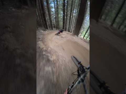 Are you dizzy yet? 😵‍💫