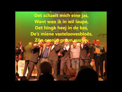 Miene vastelaovesbloes