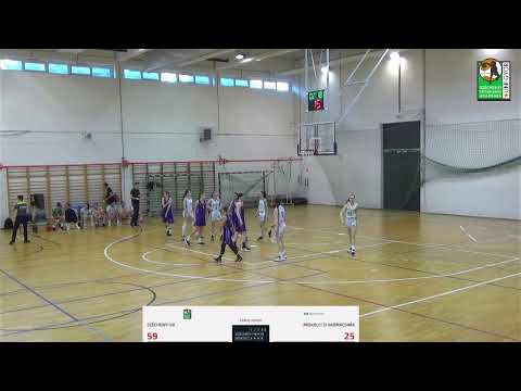 Széchenyi KA - Miskolci SI Vadmacskák