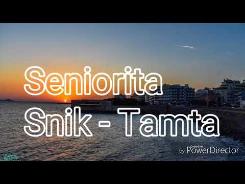 Snik - Tamta (Seniorita) |Chipmunk version|