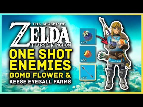 Zelda Tears Of The Kingdom Best Ways To Farm Keese Eyeballs, Arrows and Bomb Flowers