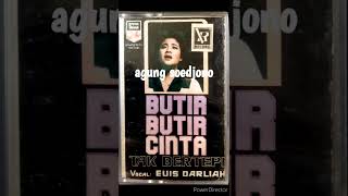 Download lagu Butir Butir Cinta Tak Bertepi - Euis Darliah mp3