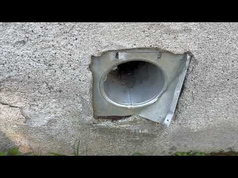 Mice Getting in Through the Exhaust Vent in Hopewell, NJ