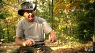 Make a Soothing Salve for Poison Ivy | Call of the Wildman