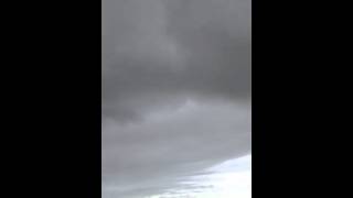 Snipe display flight - Mousa, Shetland Islands