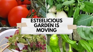 Saying Goodbye to Our First Garden | Moving EsteeLicious Garden in Full Bloom