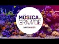 Promo Música en Grande 2017