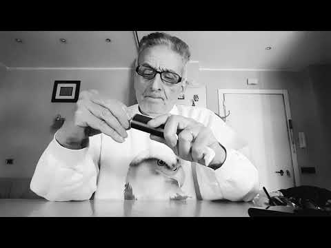 Giovedì 18 aprile 2019