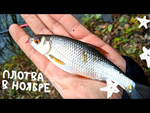 TTA-632UL 0.9-7 грамм