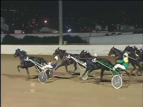 Trotto 24/11/2017 - 6ª corsa