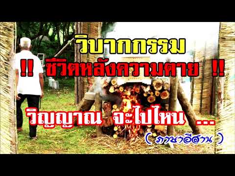 กระตุ้นการแสดงความคิดเห็นยาผู้หญิง การใช้งานของ squats แรง