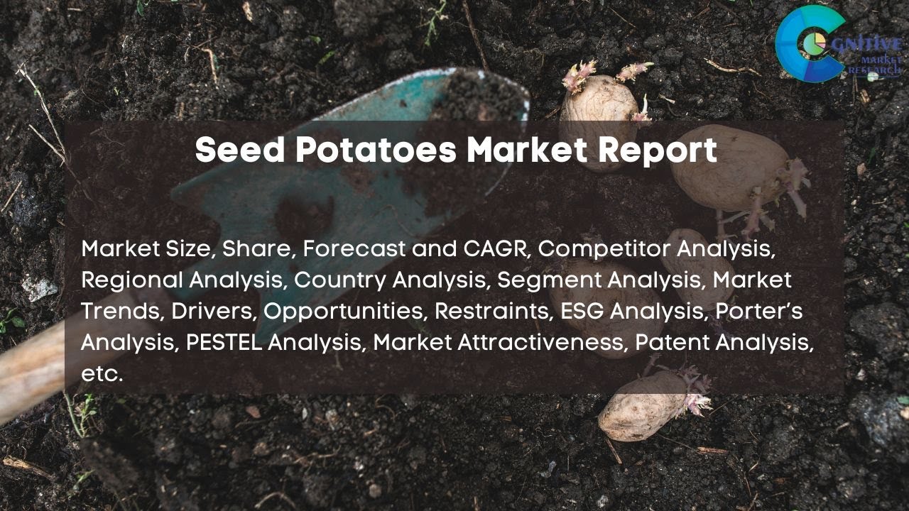 Seed Potatoes  Market Insights