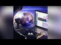 Jul Sousou Version Skyrock von Musique Jul Sousou Version Skyrock von Musique