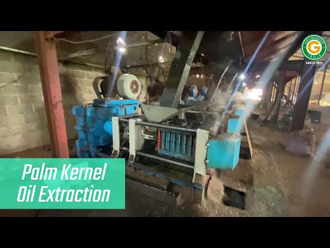 Palm Kernel Oil Extraction Machine