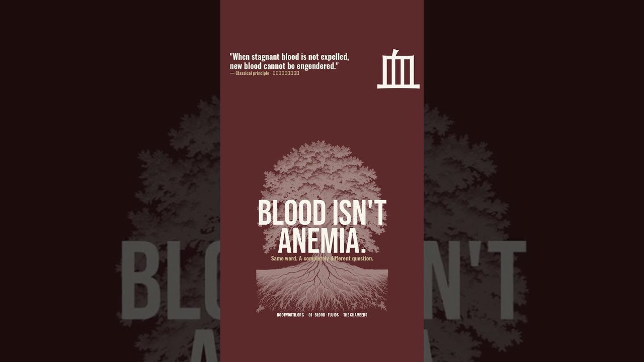 Chamber 8 — Qi, Blood & Body Fluids