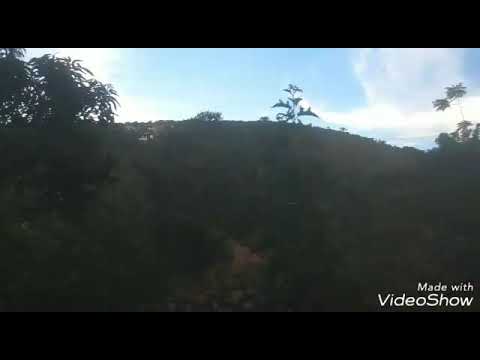 As trapaças de  Jacó