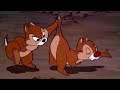 ᴴᴰ Pato Donald Y Chip Y Dale Dibujos Animados Pluto Mickey Mouse Episodios Completos Nuevo 2019