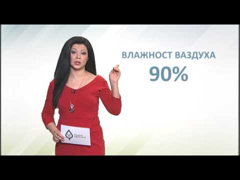 Zelena prognoza, 17.3.2017. - O stanju u usevima pšenice