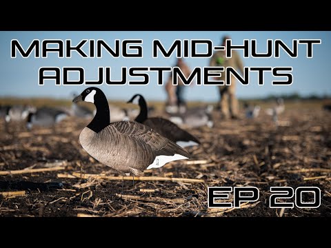 Making Mid-Hunt Adjustments-Ep #20 Field Facts with Forrest