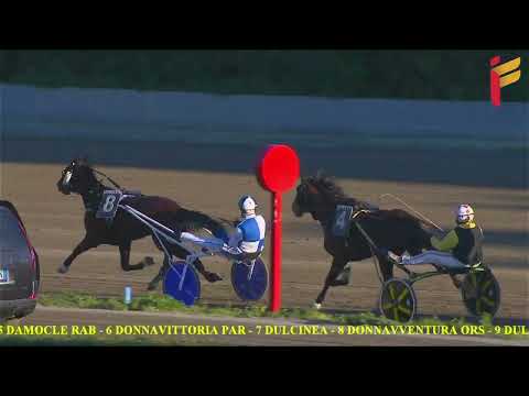 VI Corsa del 18 Febbraio 2022 - 3 Anni - Metri 2000/2020