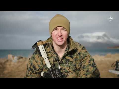 NATO Exercise Cold Response 2022