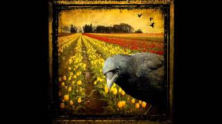 Aimee Mann ~ It's Over