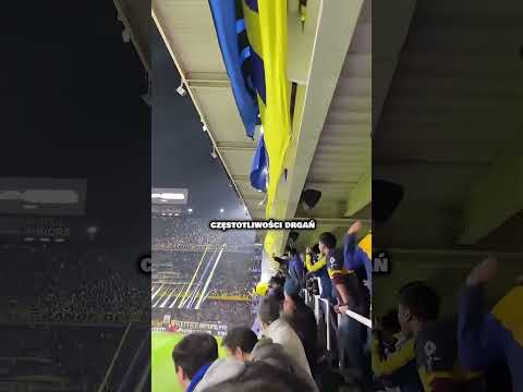 Co się dzieje, gdy tysiące ludzi skacze na stadionie?