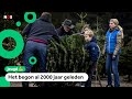 Waarom zetten mensen een kerstboom in huis?