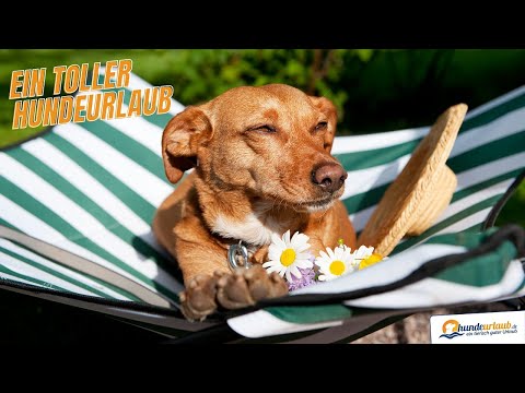 Mai 2022: Neue Unterkünfte auf hundeurlaub.de - Kleine Auswahl von unseren neuen Unterkünften