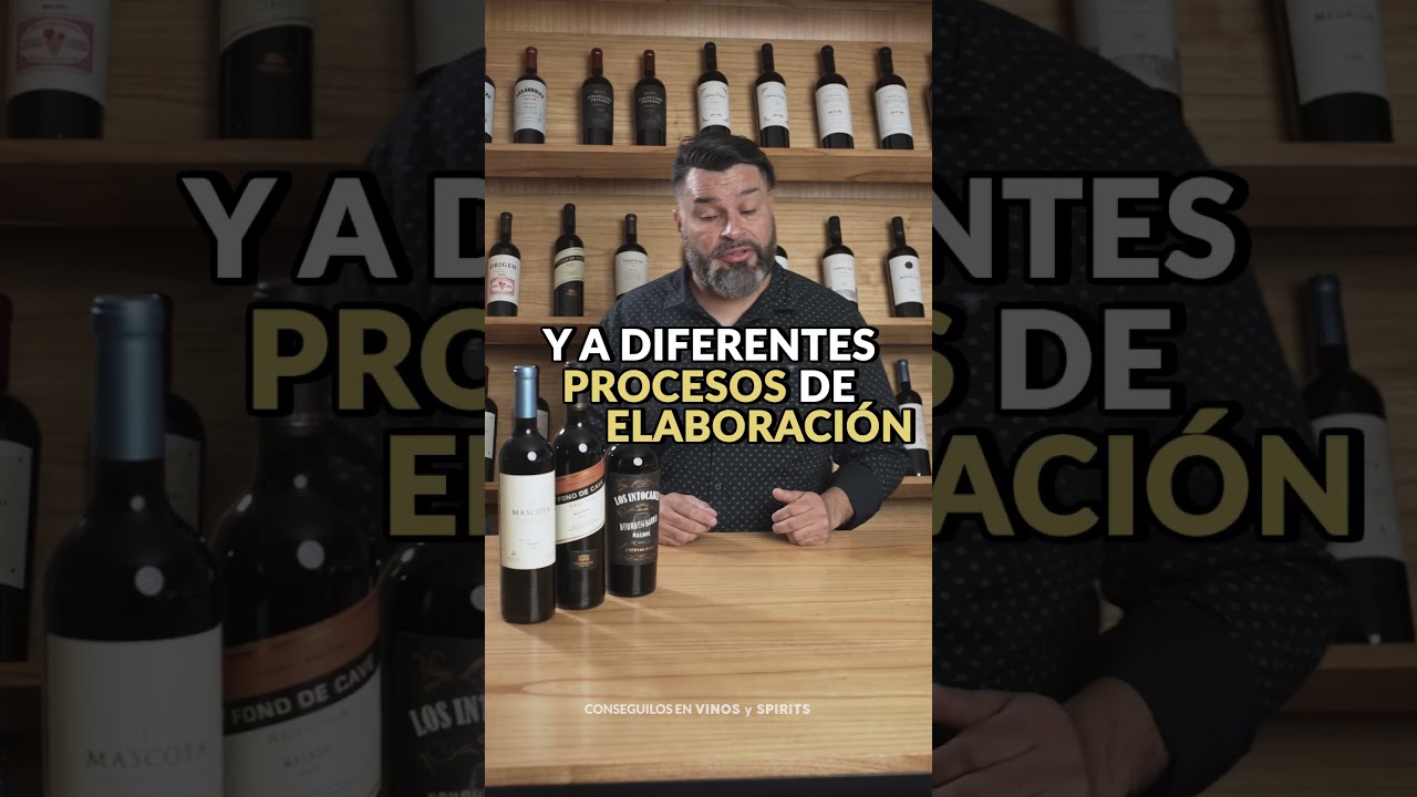 La variedad Malbec, por Julián Escalante, por Vinos y Spirits