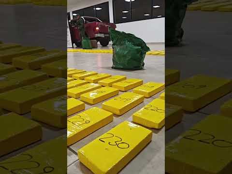 Golpe al narcotráfico: secuestran 470 kg de cocaína y detienen familiar de "Pelaín" Nassif #tucuman