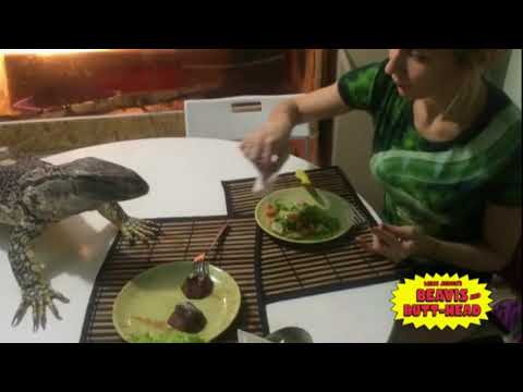 Beavis and Butt-Head - 'Lizard Dinner'