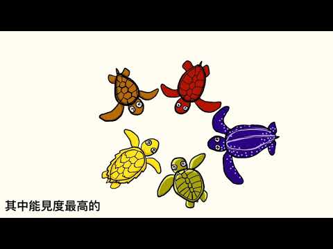 《海龜豆知識》宣導動畫