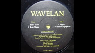 Wavelan - It Will Stand - IST Records 007 (#Hardcore #Techno)
