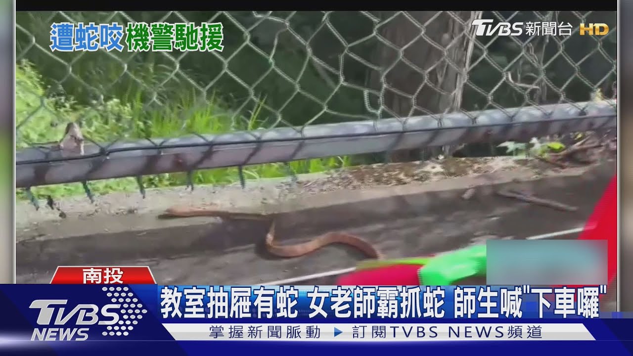學生教室抽屜驚見大頭蛇 女老師抓走全班高喊「下車囉」