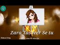 Zara Tasveer Se Tu 30sec Whatsapp Status Status King